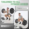 image2Inch Olympic Cast Iron Weight Plate for Strength Training ampamp Weightlifting Multiple Sizes10LBS Set of 4