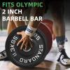 image2Inch Olympic Cast Iron Weight Plate for Strength Training ampamp Weightlifting Multiple Sizes25LB Pair