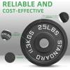 image2Inch Olympic Cast Iron Weight Plate for Strength Training ampamp Weightlifting Multiple Sizes25LB Pair