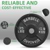 image2Inch Olympic Cast Iron Weight Plate for Strength Training ampamp Weightlifting Multiple Sizes35LB Single