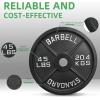 image2Inch Olympic Cast Iron Weight Plate for Strength Training ampamp Weightlifting Multiple Sizes45LB Single