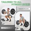image2Inch Olympic Cast Iron Weight Plate for Strength Training ampamp Weightlifting Multiple Sizes5LB Set of 4