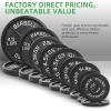 image2Inch Olympic Cast Iron Weight Plate for Strength Training ampamp Weightlifting Multiple SizesSet 45LB 255510LB Pairs