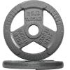 25LB (Set of 2)