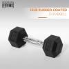 imageHex Dumbbells Rubber Coated Hand Weights for Exercises and Fitness Home Gym Single10LBS Single