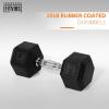 imageHex Dumbbells Rubber Coated Hand Weights for Exercises and Fitness Home Gym Single20LB Single
