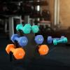 imageNeoprene Coated Dumbbell Set with Rack Free Hand Weight Set For Home Gym Workout AntiSlip Antiroll 20LBS 32LBS 50LBS and 56LBS Sets Multiple Weight Options32LB Set 358LB Pairs