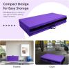 imageFitvids 4x8x2 Folding Gymnastics Mat Home Exercise Mat with Carrying Handles Gym Workout Tumbling Mat for Yoga Pilates Stretching MMA Core Workouts Fitness Aerobics Mats for Gym Training Multiple ColorsLilac