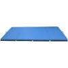imageFitvids 4x8x2 Folding Gymnastics Mat Home Exercise Mat with Carrying Handles Gym Workout Tumbling Mat for Yoga Pilates Stretching MMA Core Workouts Fitness Aerobics Mats for Gym Training Multiple ColorsBlue